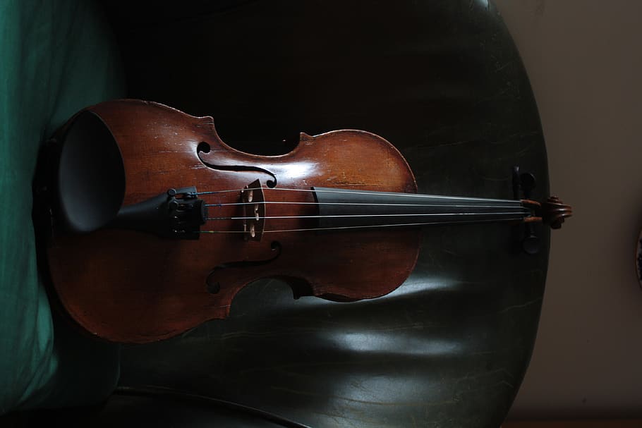 united kingdom, wallington, string instrument, musical instrument HD wallpaper