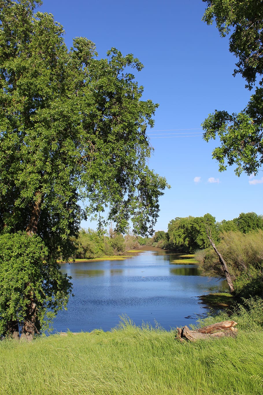 water, spring, river, green, plant, wet, natural, tree, sky HD wallpaper