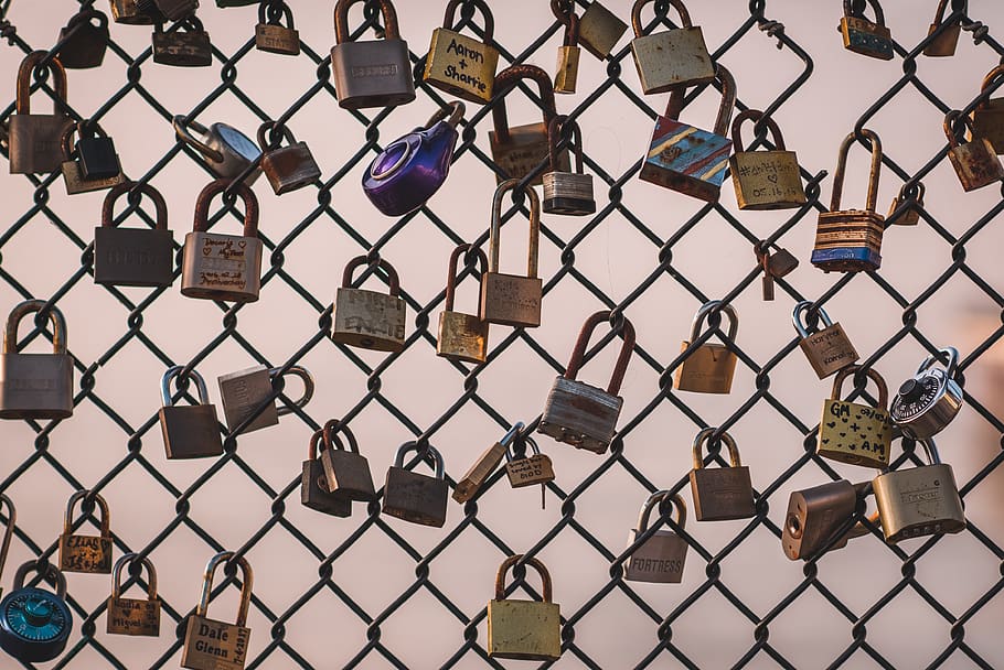 brass-colored padlock, chainlink fence, protection, security HD wallpaper