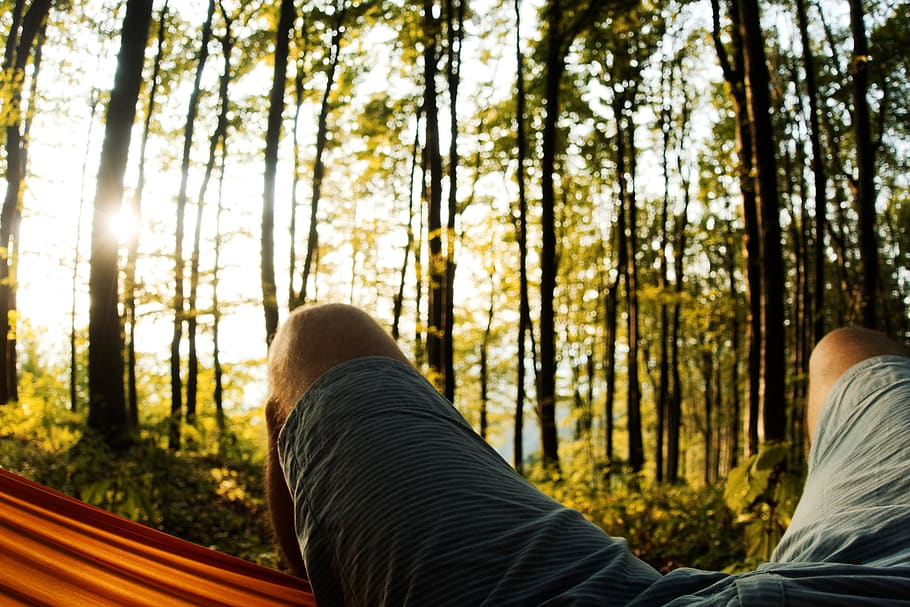 forest, sun, green, hammock, legs, person, shorts, leaves, mountain HD wallpaper