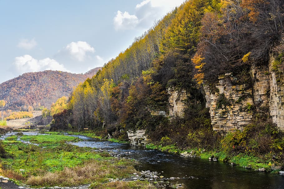 forest, autum, nature, water, beauty in nature, scenics - nature HD wallpaper