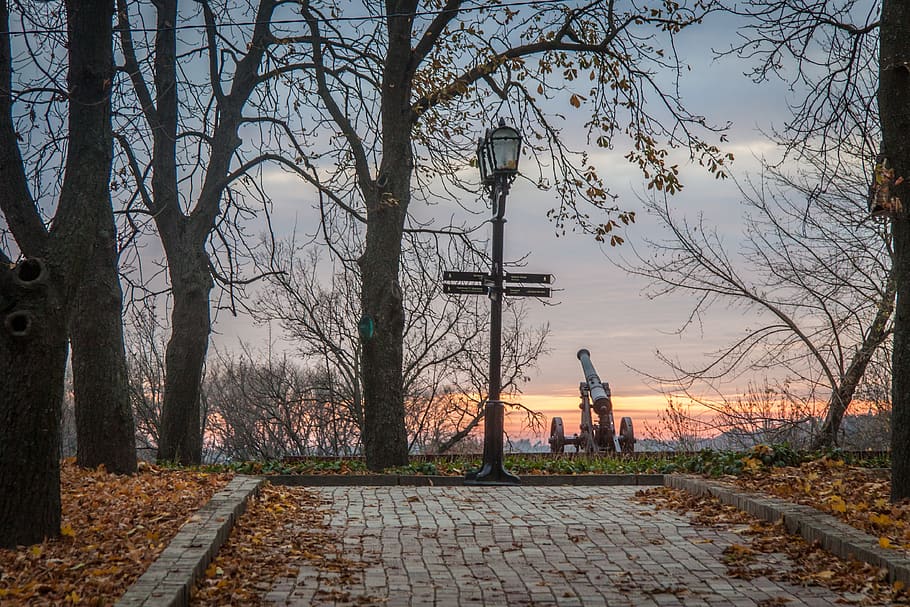 city, sunset, park, horizon, historical, ukraine, tree, plant HD wallpaper