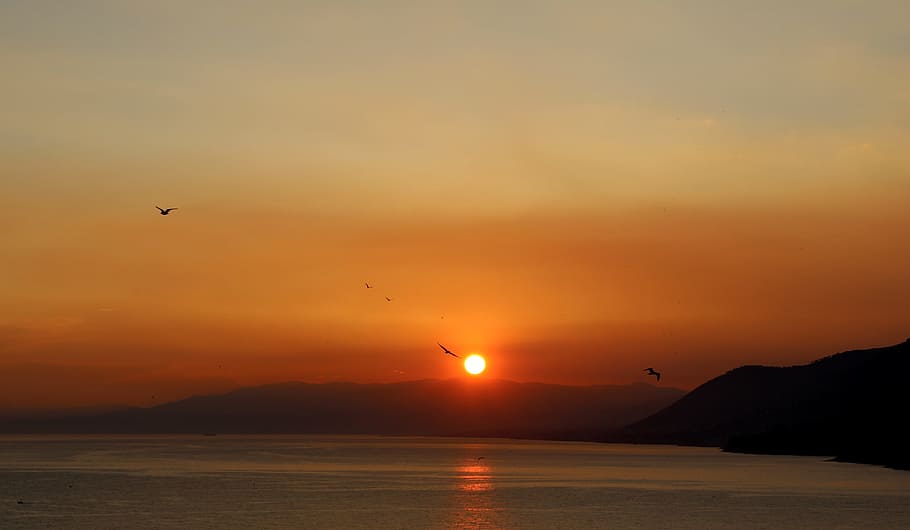 sea, coast, ocean, horizon, sun, sunrise, sunset, morning, dawn HD wallpaper