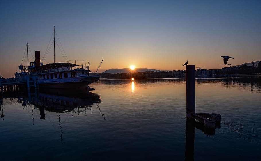 sunrise, reflection, boat, calm, morning, landscape, birds HD wallpaper