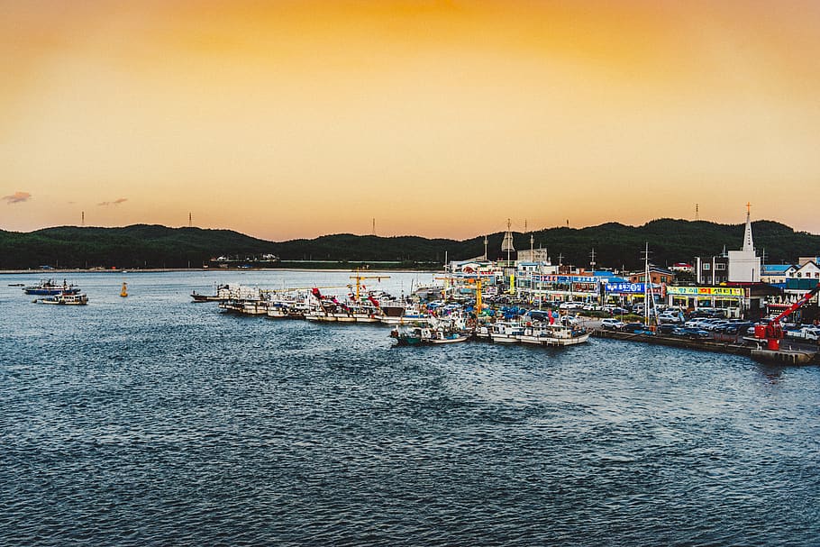 boat lot beside dockside, port, harbor, waterfront, 태안군 HD wallpaper