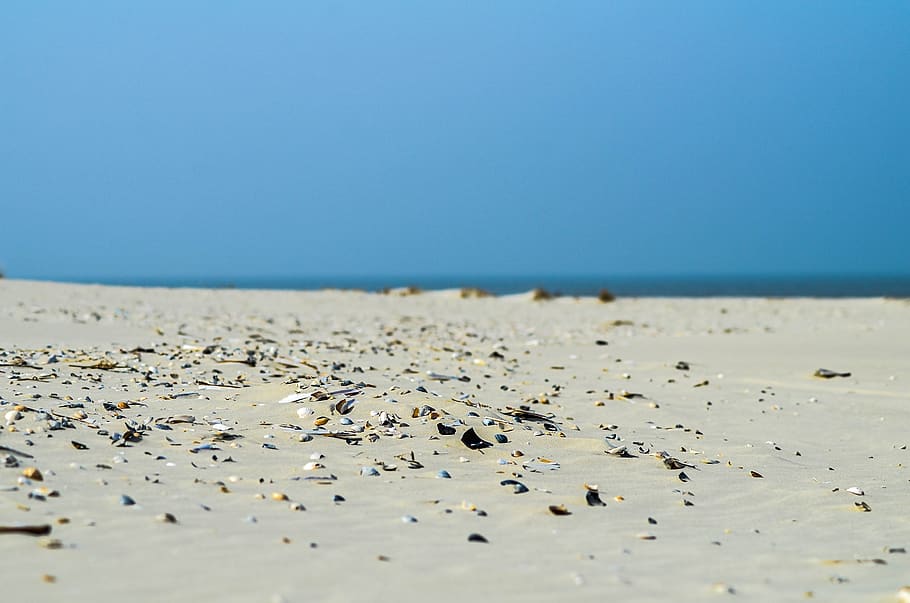 terschelling, beach, blue, sea, water, land, sky, clear sky HD wallpaper
