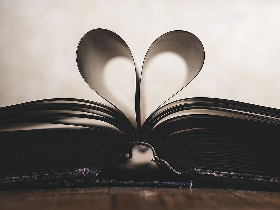 paper, book, fold, folding, object, page, publication, open HD wallpaper