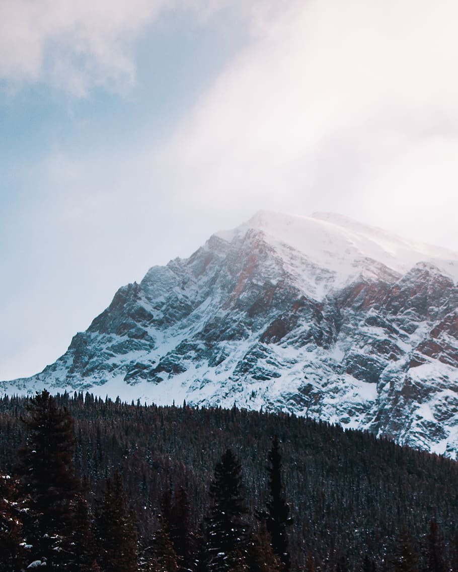 canada, jasper, cold temperature, winter, mountain, snow, scenics - nature HD wallpaper