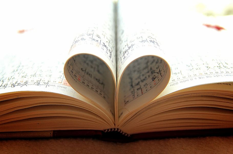 diary, benefits, record, love, forever, bed, curtain, publication HD wallpaper