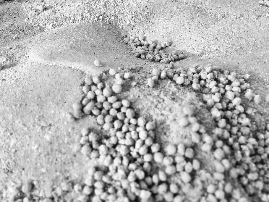 qatar, unnamed road, land, no people, selective focus, sand HD wallpaper