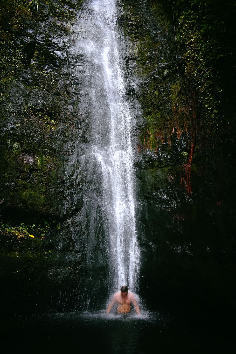 man swimming under waterfalls, human, people, person, united states