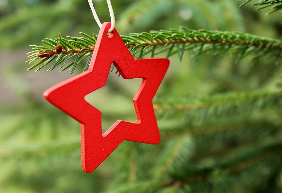 asterisk, a red asterisk, christmas tree, branch, ornament HD wallpaper