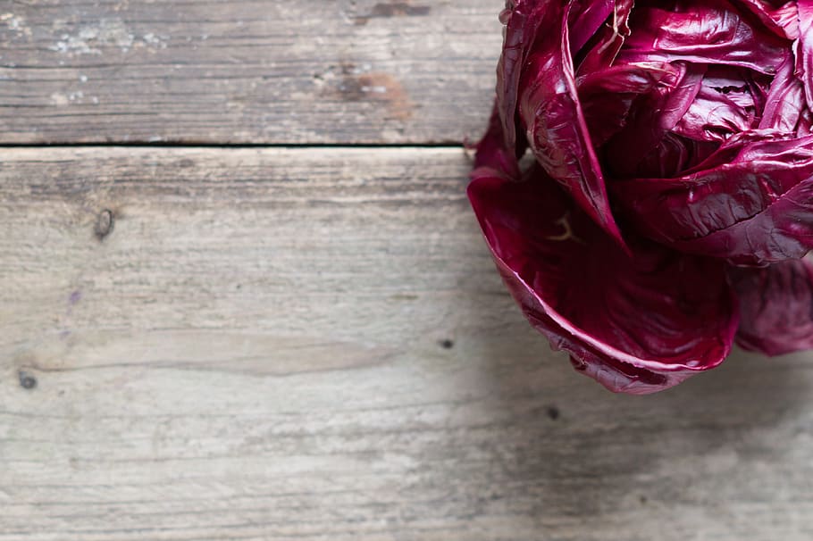 background, red, chicory, vegetables, colors, food, nature HD wallpaper