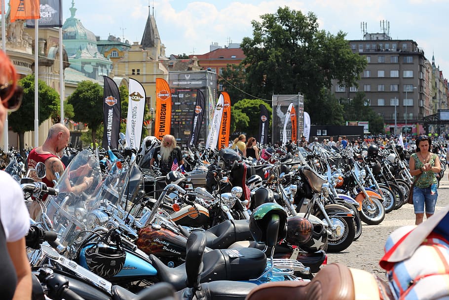 harley - davidson, moto, fun, celebration, architecture, crowd HD wallpaper