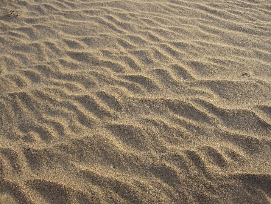 latvia, riga, abstract, baltic, textured, sandy, beach, land HD wallpaper