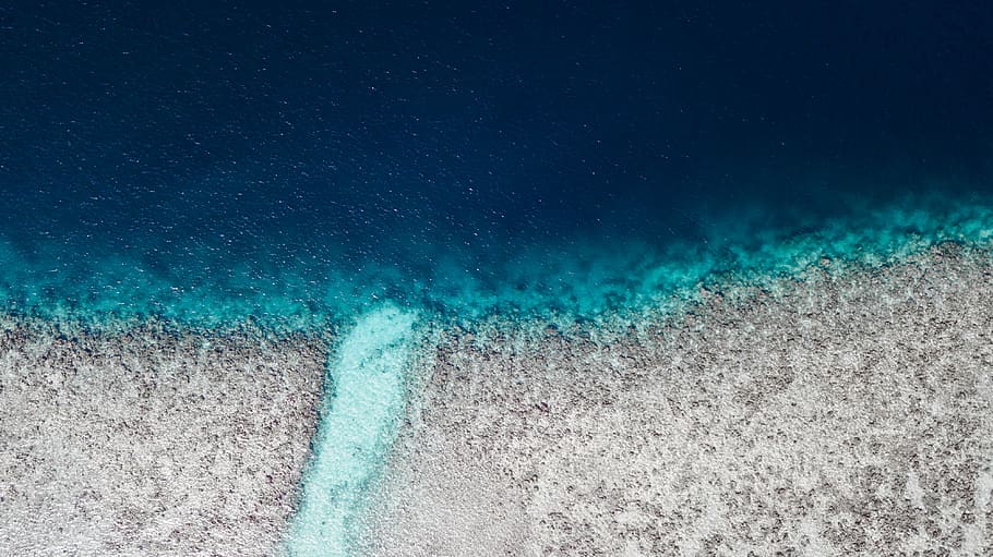 ocean waves on sea, nature, outdoors, water, underwater, scenery HD wallpaper