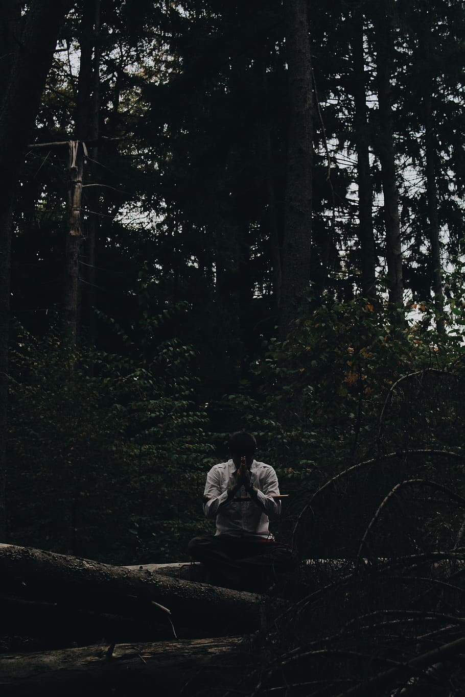 tree, forest, plant, land, nature, real people, women, sitting HD wallpaper