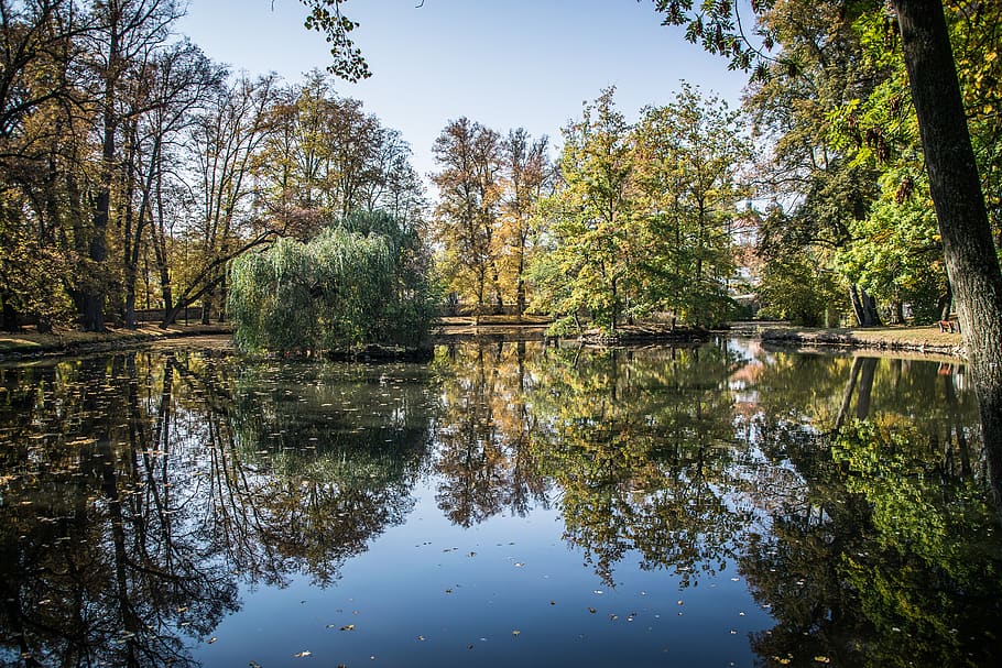 reflection, park, březnice, water, trees, pond, picturesque HD wallpaper