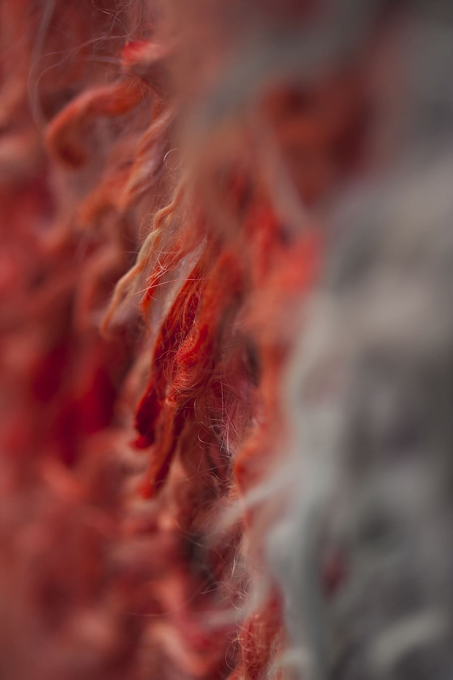 carpet, fabric, wool, texture, macro, red, detail, textile HD wallpaper