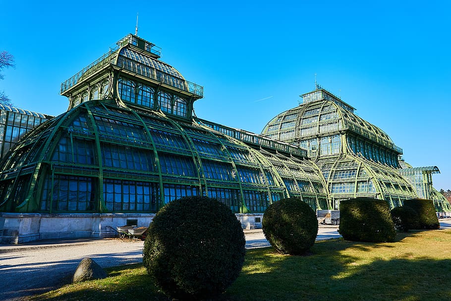 vienna, austria, architecture, castle, schönbrunn, tropical house HD wallpaper