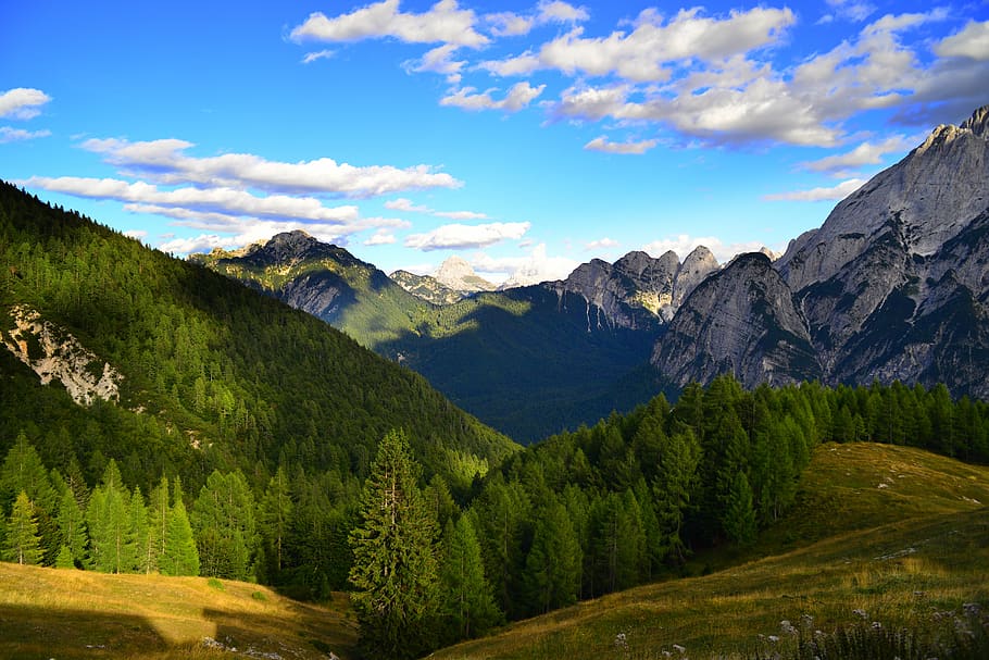 italy, dogna, mountain, clouds, trees, wallpaper, alps, forest HD wallpaper