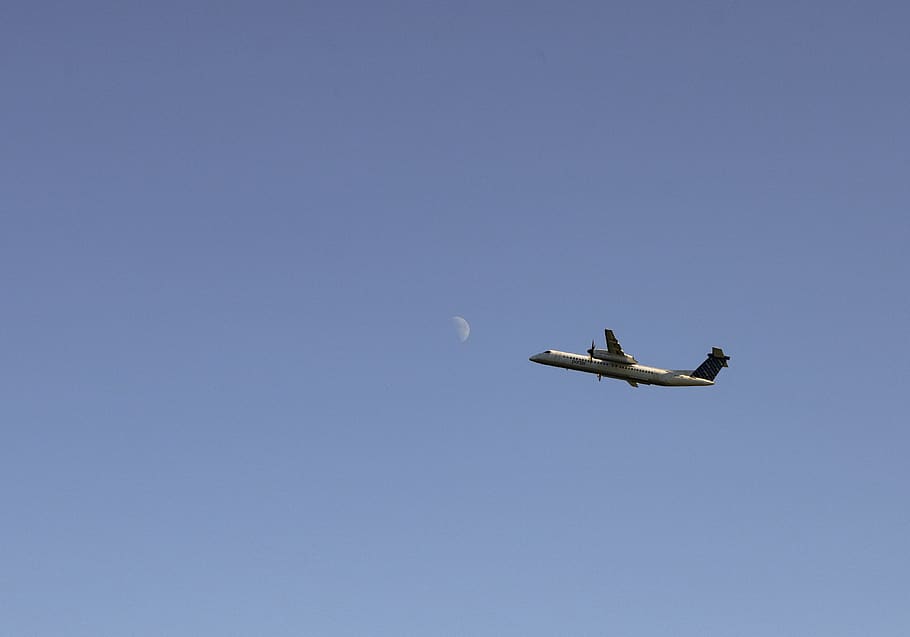 canada, toronto, air vehicle, flying, airplane, mode of transportation HD wallpaper