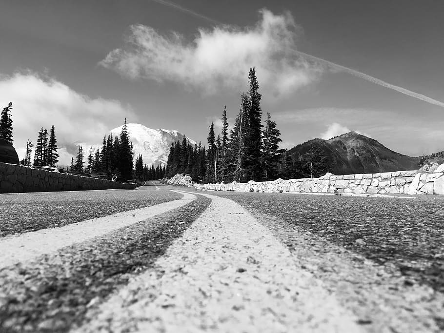 grayscale photography of road, tree, plant, fir, abies, united states, HD wallpaper