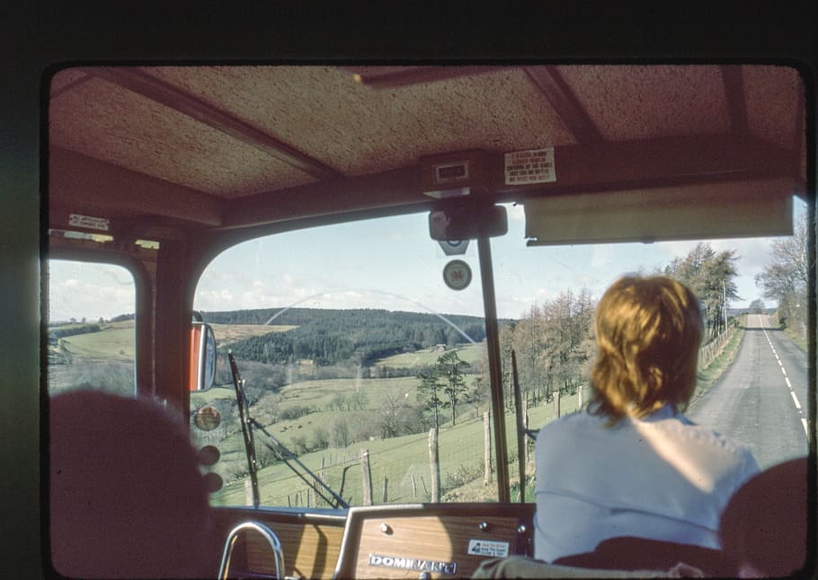 man driving bus, rear view, mode of transportation, vehicle interior HD wallpaper