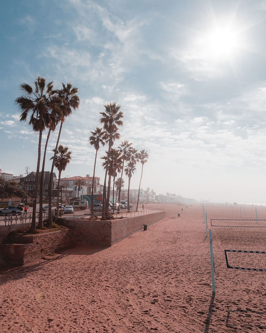 empty beach shore, nature, outdoors, tree, ground, scenery, car HD wallpaper