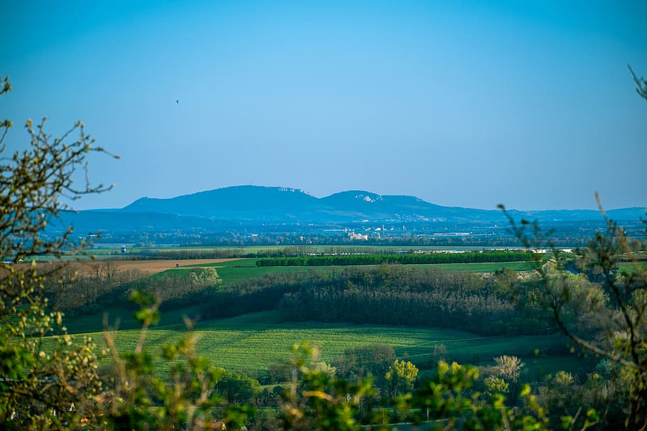 pálava, branches, tree, trees, field, landscape, blue, green HD wallpaper