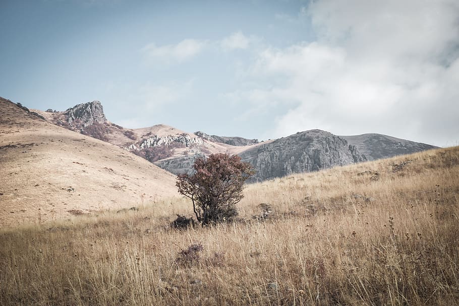brown mountain valley, outdoors, nature, field, grassland, plateau HD wallpaper