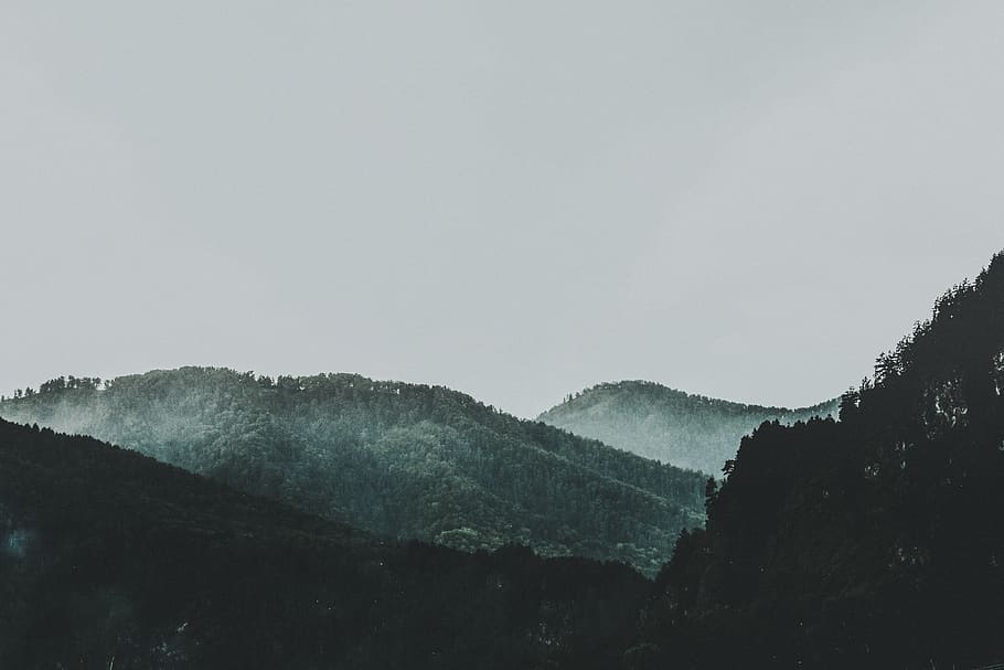 green hills, nature, tree, outdoors, mountain, fir, plant, abies HD wallpaper