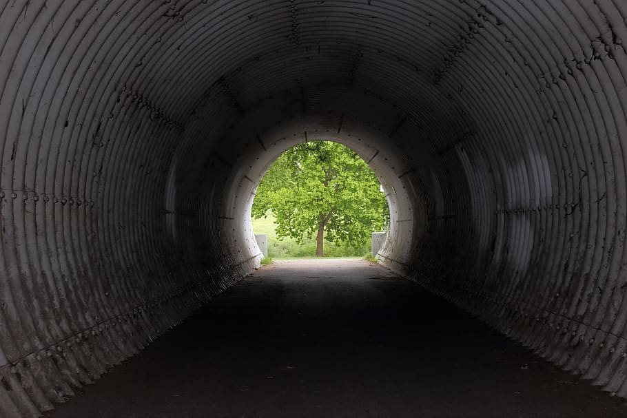 tunnel, tree, light, dark, center, deciduous tree, tube, end HD wallpaper