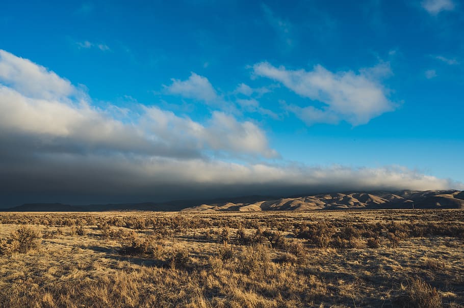 Brown Field Under Blue and White Skies, bright, clouds, country HD wallpaper