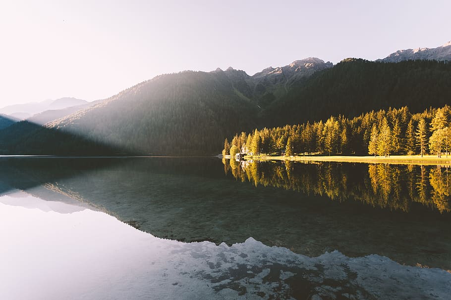 pine trees beside calm body of water, lake, landscape, sunrise HD wallpaper