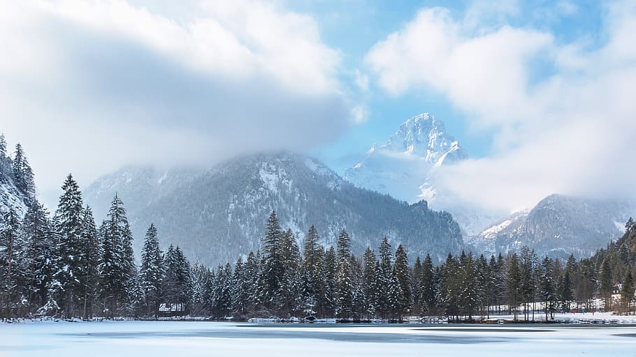 snow-covered mountain under white clouds during daytime, tree HD wallpaper