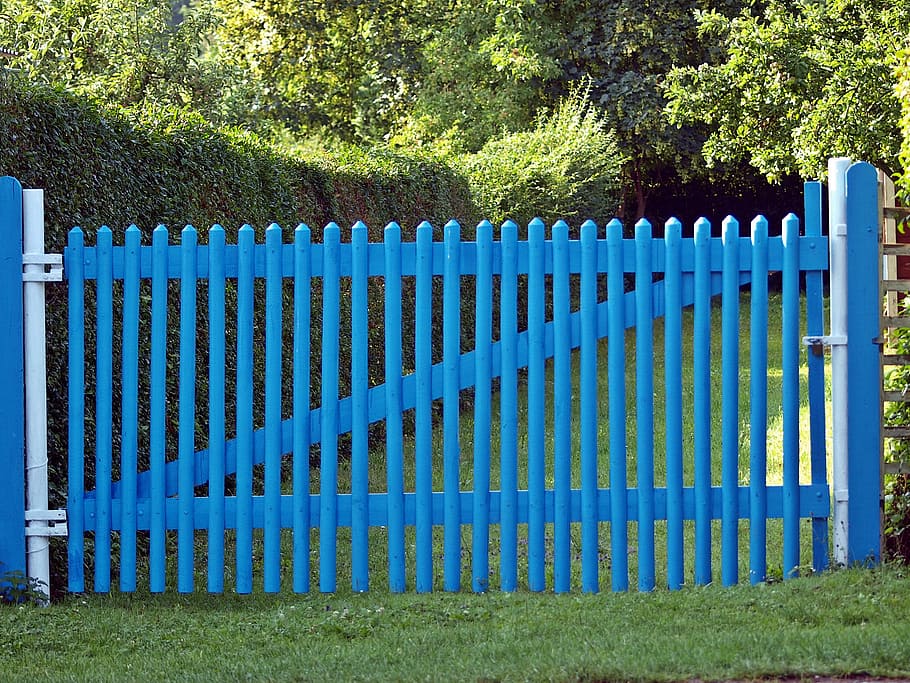 fence, blue, metal, rust, safe, protection, plant, barrier HD wallpaper