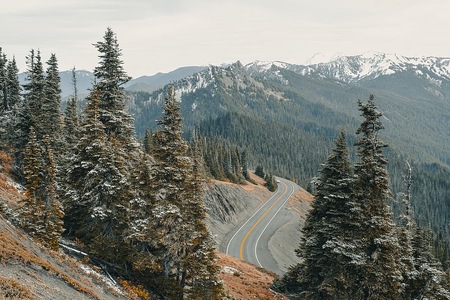 Gray Asphalt Road on Cliff, cold, conifer, evergreen, hill, landscape HD wallpaper