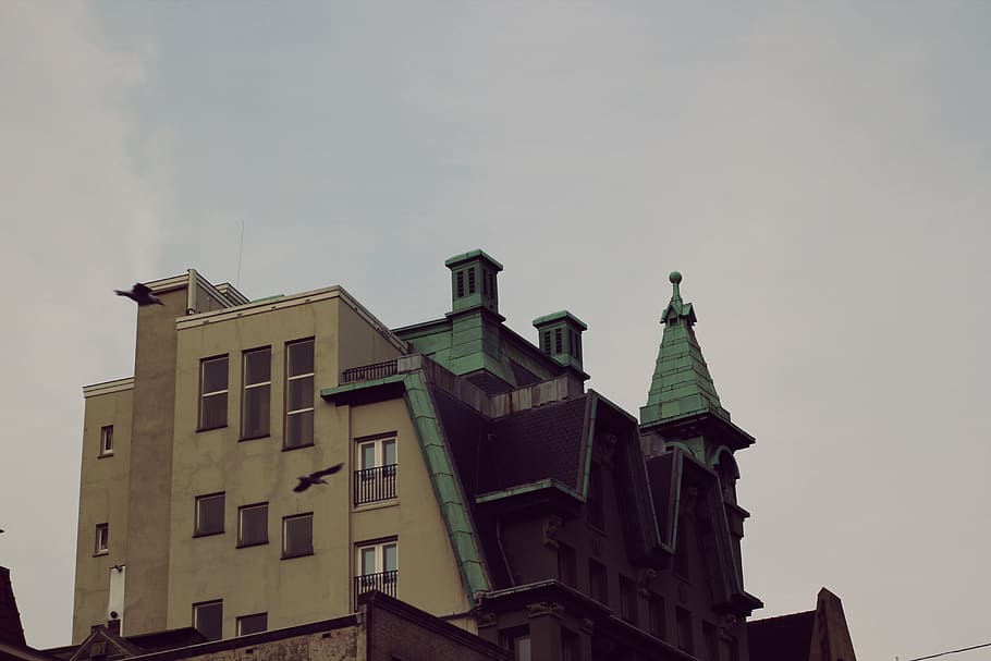 amsterdam, netherlands, damrak, building exterior, built structure HD wallpaper