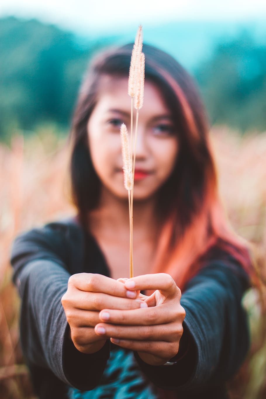 hand, handson, flowers, woman, faceless, bokeh, one person HD wallpaper