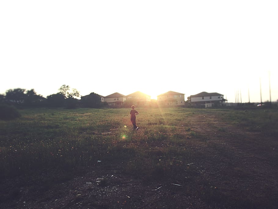 sunset, field, sky, nature, real people, lens flare, sunlight HD wallpaper
