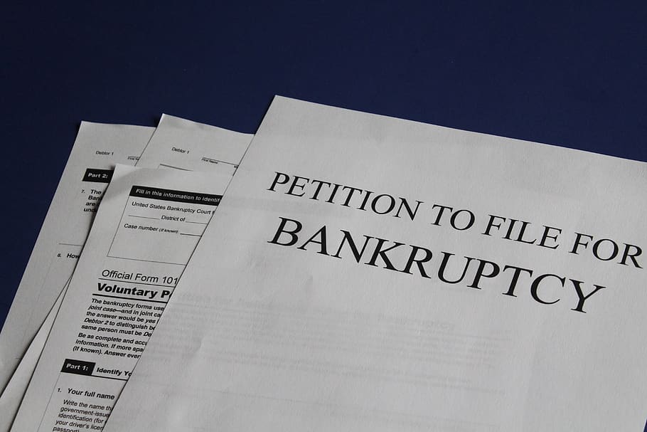 Petition to File For Bankruptcy, paper, text, document, official