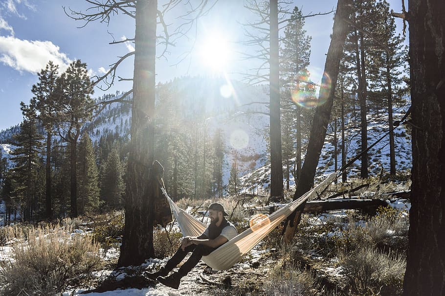 hammock, nature, mountains, forest, mountain range, sunshine HD wallpaper