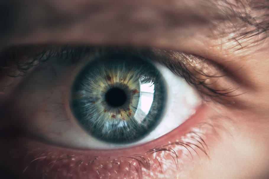 Person Eye, adult, blue, blue eyes, blur, close, close up, cornea, HD wallpaper