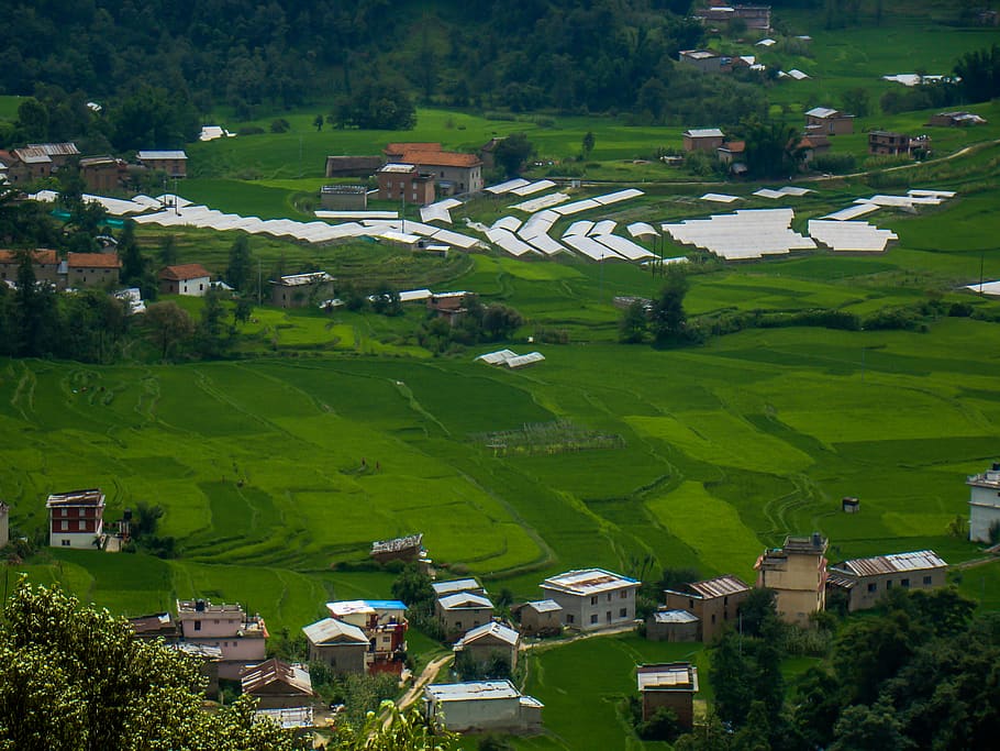 nepal, nagarkot, landscape, plant, architecture, tree, green color HD wallpaper