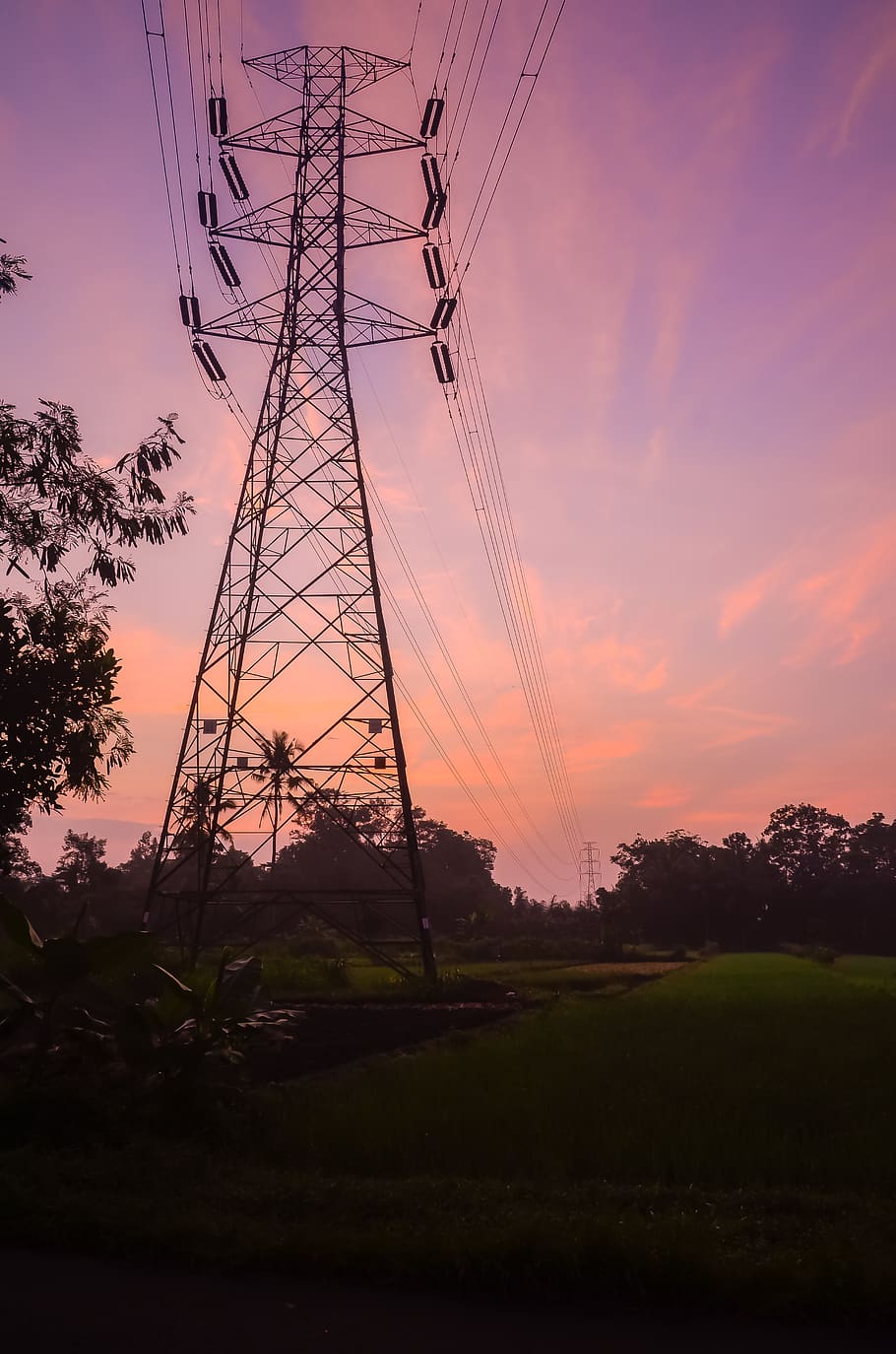 ricefield, sky, sunset, electricity, technology, power line HD wallpaper