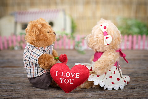 Photo of Teddy Bears Sitting on Wood, blur, close-up, concept HD wallpaper