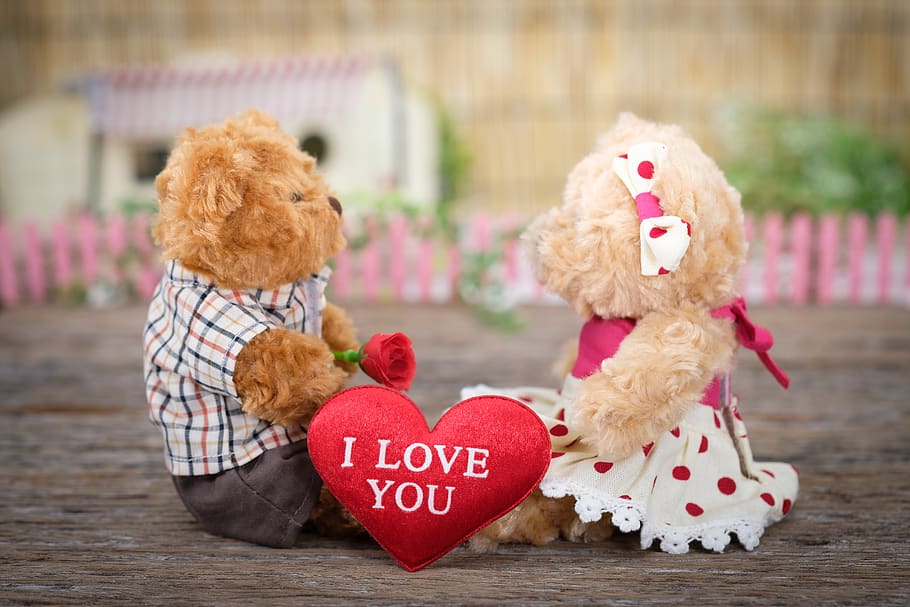 Photo of Teddy Bears Sitting on Wood, blur, close-up, concept HD wallpaper