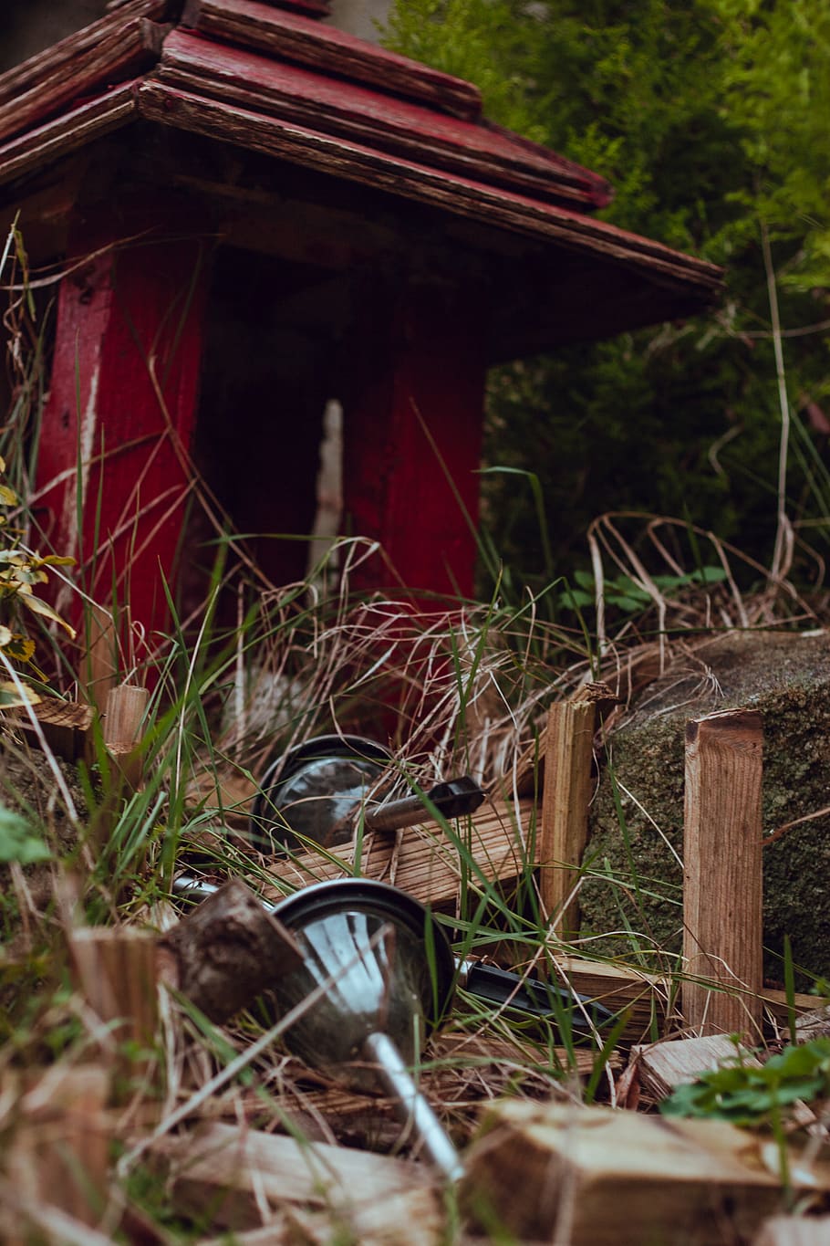 garden, lights, path, hut, distorted, disturbed, over grown HD wallpaper