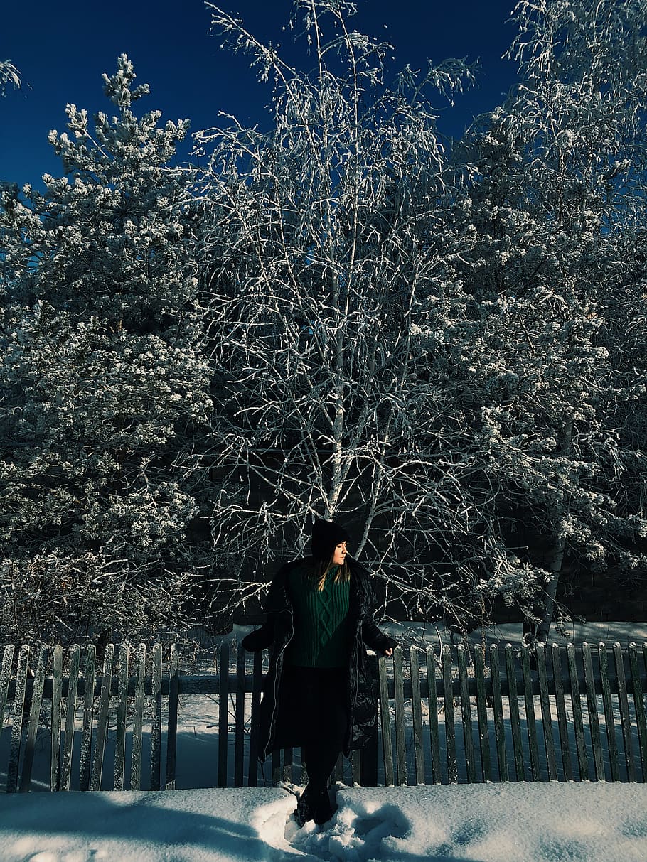 tree, plant, one person, real people, cold temperature, winter HD wallpaper